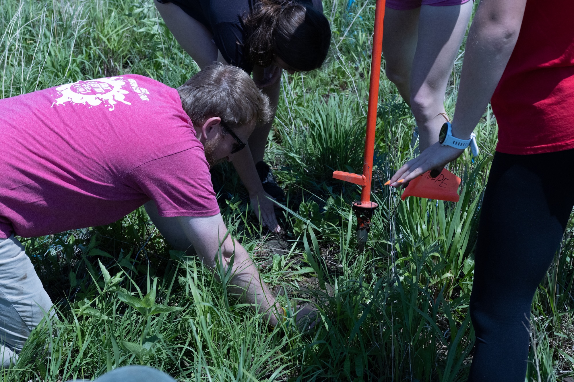 Tallgrass Prairie Planting Day